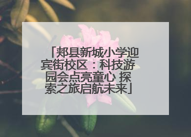 郏县新城小学迎宾街校区：科技游园会点亮童心 探索之旅启航未来