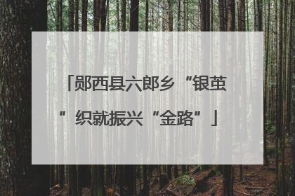 郧西县六郎乡“银茧”织就振兴“金路”
