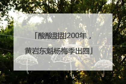 酸酸甜甜200年，黄岩东魁杨梅季出圈