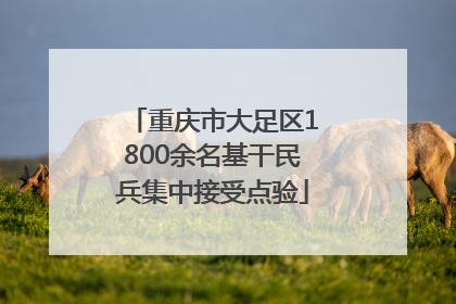 重庆市大足区1800余名基干民兵集中接受点验