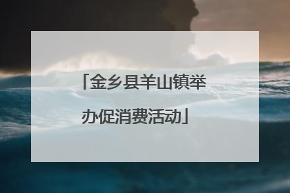 金乡县羊山镇举办促消费活动