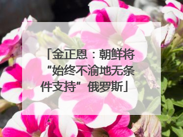 金正恩：朝鲜将“始终不渝地无条件支持”俄罗斯