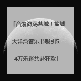 音浪激荡盐城！盐城大洋湾音乐节吸引5.4万乐迷共赴狂欢