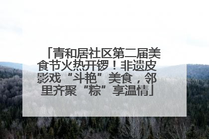 青和居社区第二届美食节火热开锣！非遗皮影戏“斗艳”美食，邻里齐聚“粽”享温情