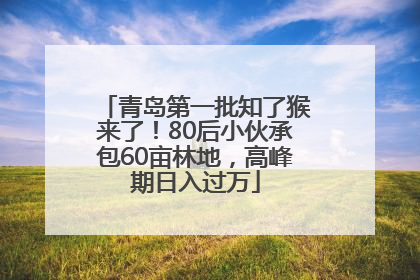 青岛第一批知了猴来了！80后小伙承包60亩林地，高峰期日入过万