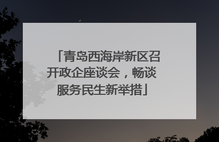 青岛西海岸新区召开政企座谈会，畅谈服务民生新举措