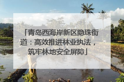 青岛西海岸新区隐珠街道：高效推进林业执法，筑牢林地安全屏障