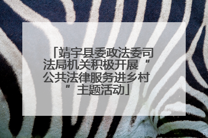 靖宇县委政法委司法局机关积极开展“公共法律服务进乡村”主题活动