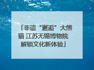 非遗“邂逅”大熊猫 江苏无锡博物院解锁文化新体验