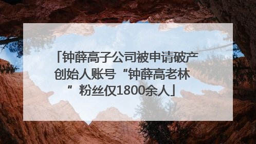 钟薛高子公司被申请破产 创始人账号“钟薛高老林”粉丝仅1800余人