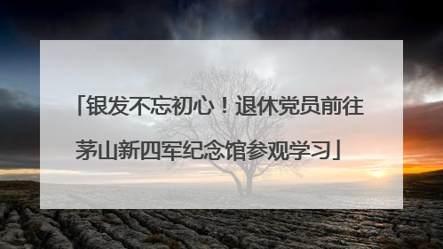 银发不忘初心！退休党员前往茅山新四军纪念馆参观学习