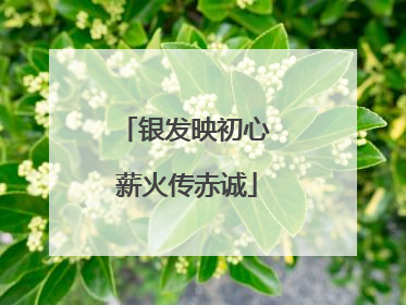 银发映初心 薪火传赤诚