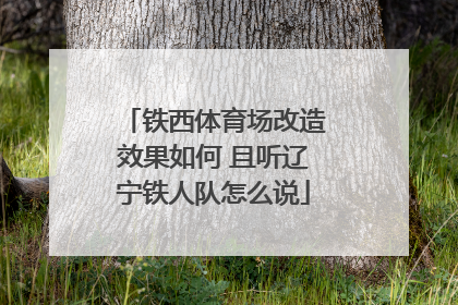 铁西体育场改造效果如何 且听辽宁铁人队怎么说
