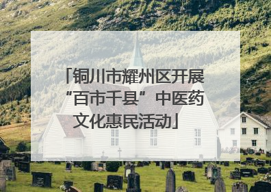 铜川市耀州区开展“百市千县”中医药文化惠民活动
