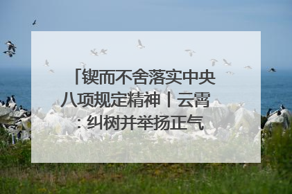 锲而不舍落实中央八项规定精神丨云霄：纠树并举扬正气 作风建设谱新章
