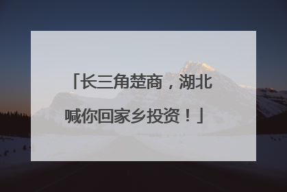 长三角楚商，湖北喊你回家乡投资！
