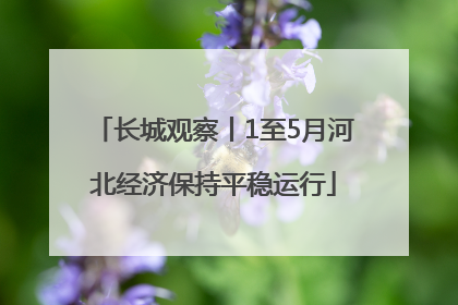 长城观察丨1至5月河北经济保持平稳运行