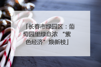 长春市绿园区：葡萄园里绿意浓 “紫色经济”焕新枝