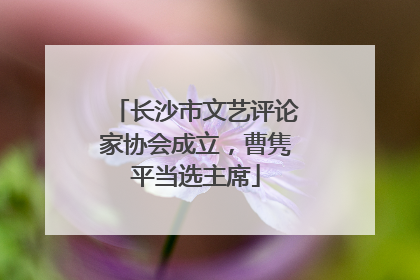 长沙市文艺评论家协会成立，曹隽平当选主席