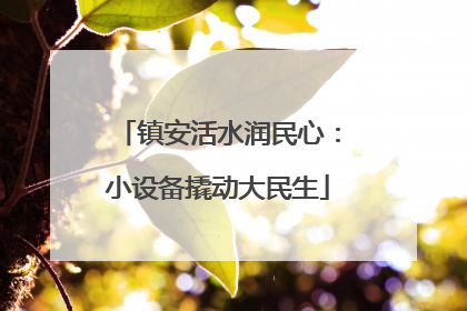 镇安活水润民心：小设备撬动大民生