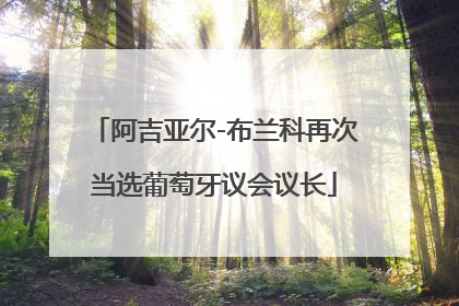 阿吉亚尔-布兰科再次当选葡萄牙议会议长