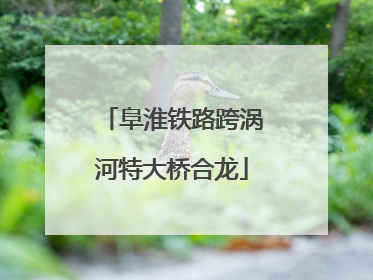 阜淮铁路跨涡河特大桥合龙