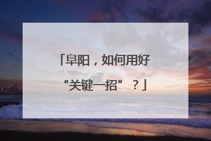 阜阳，如何用好“关键一招”？