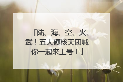 陆、海、空、火、武！五大硬核天团喊你一起来上号！