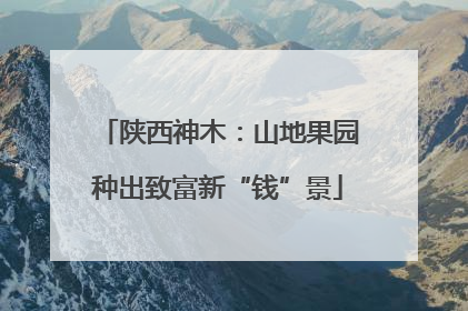 陕西神木：山地果园种出致富新“钱”景