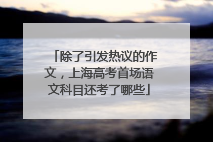除了引发热议的作文，上海高考首场语文科目还考了哪些
