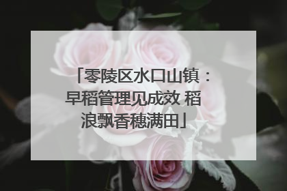零陵区水口山镇：早稻管理见成效 稻浪飘香穗满田