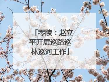 零陵：赵立平开展巡路巡林巡河工作