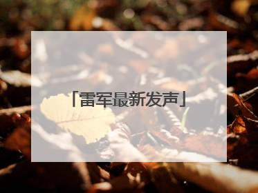 雷军最新发声