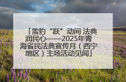 雪豹“跃”动间 法典润民心——2025年青海省民法典宣传月（西宁地区）主场活动见闻
