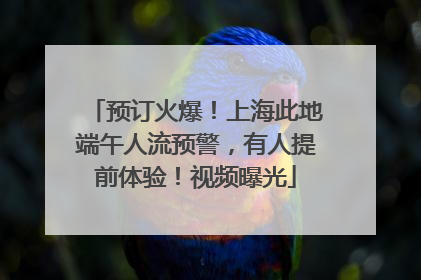 预订火爆！上海此地端午人流预警，有人提前体验！视频曝光