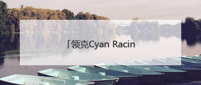 领克Cyan Racing车队再获佳绩 TCR世巡赛西班牙站包揽六座奖杯