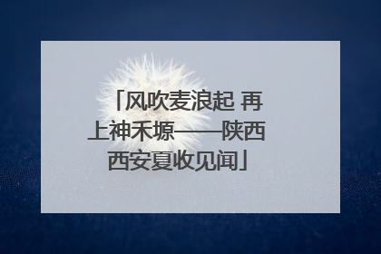 风吹麦浪起 再上神禾塬——陕西西安夏收见闻