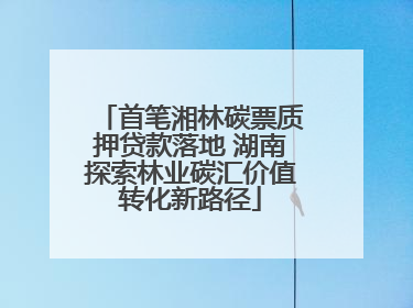首笔湘林碳票质押贷款落地 湖南探索林业碳汇价值转化新路径