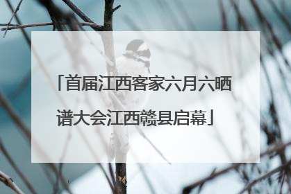 首届江西客家六月六晒谱大会江西赣县启幕