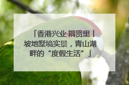 香港兴业·耦贤里丨坡地墅境实景，青山湖畔的“度假生活”