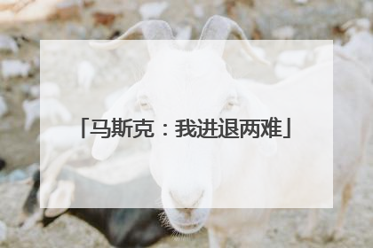 马斯克：我进退两难