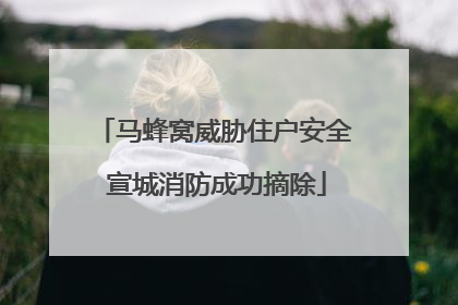 马蜂窝威胁住户安全 宣城消防成功摘除