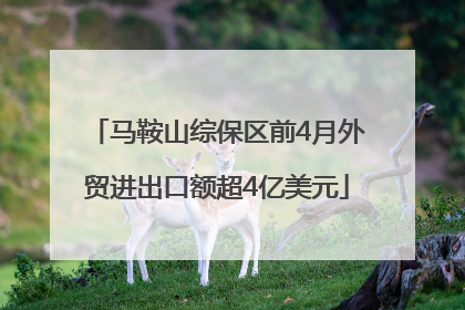 马鞍山综保区前4月外贸进出口额超4亿美元