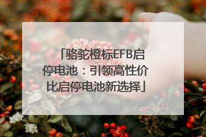 骆驼橙标EFB启停电池：引领高性价比启停电池新选择