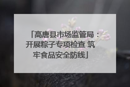 高唐县市场监管局：开展粽子专项检查 筑牢食品安全防线