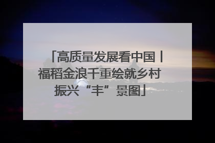 高质量发展看中国丨福稻金浪千重绘就乡村振兴“丰”景图