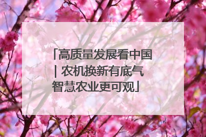 高质量发展看中国｜农机换新有底气 智慧农业更可观