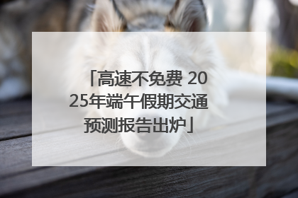 高速不免费 2025年端午假期交通预测报告出炉