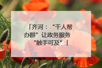 齐河：“千人帮办群”让政务服务“触手可及”