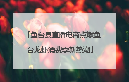 鱼台县直播电商点燃鱼台龙虾消费季新热潮